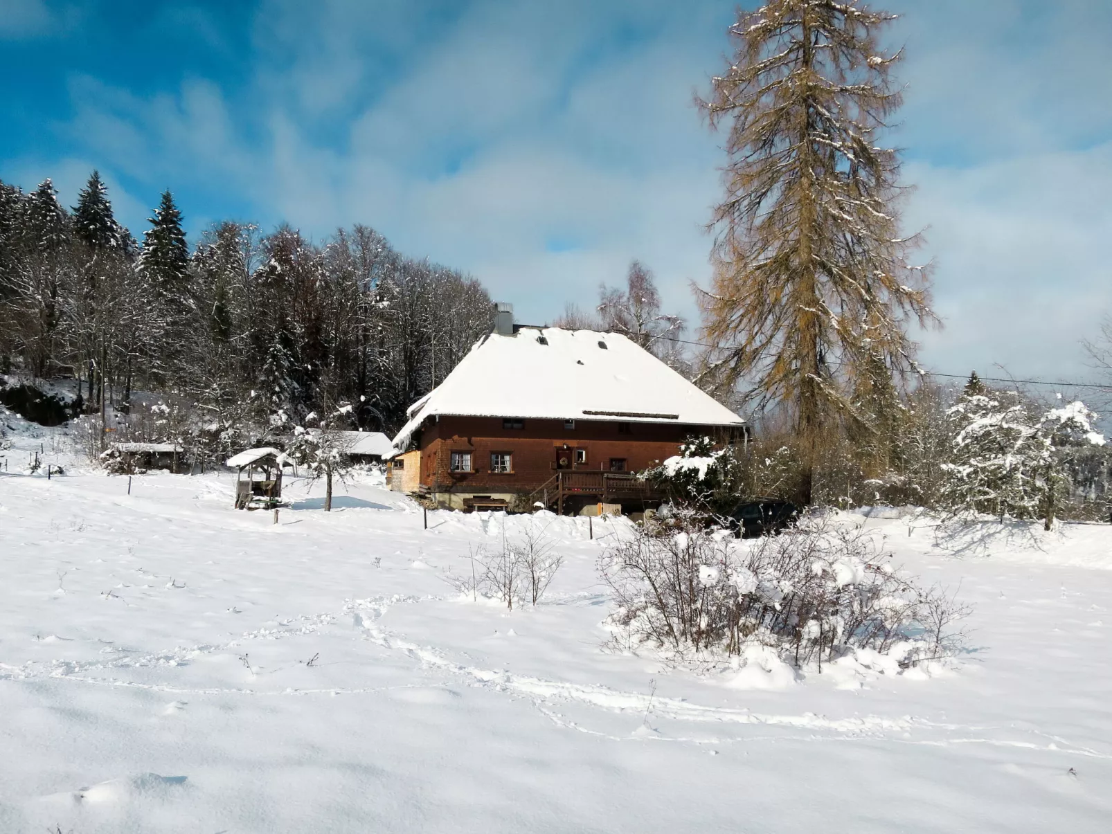 Bistenhof-Outside