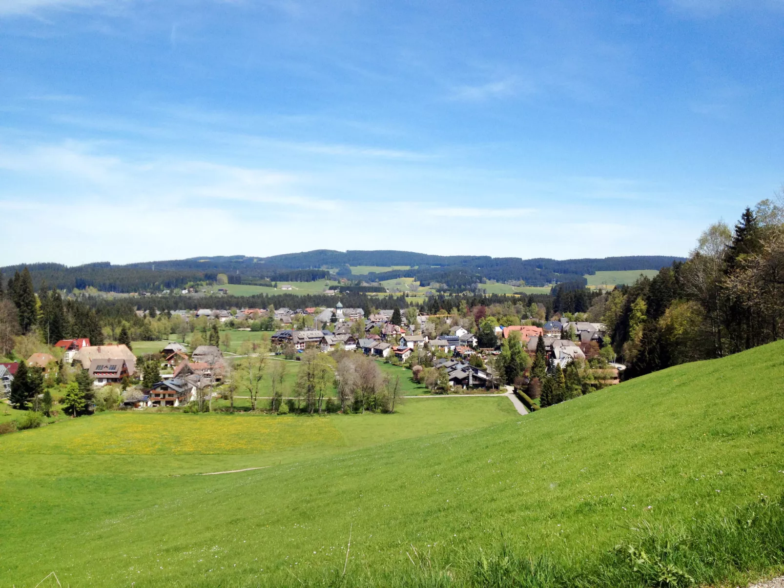 Bistenhof-Area