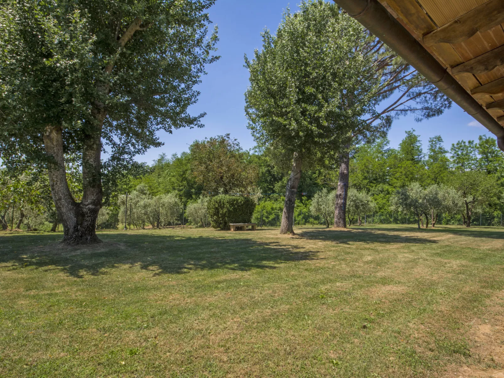 Beboli-Outside