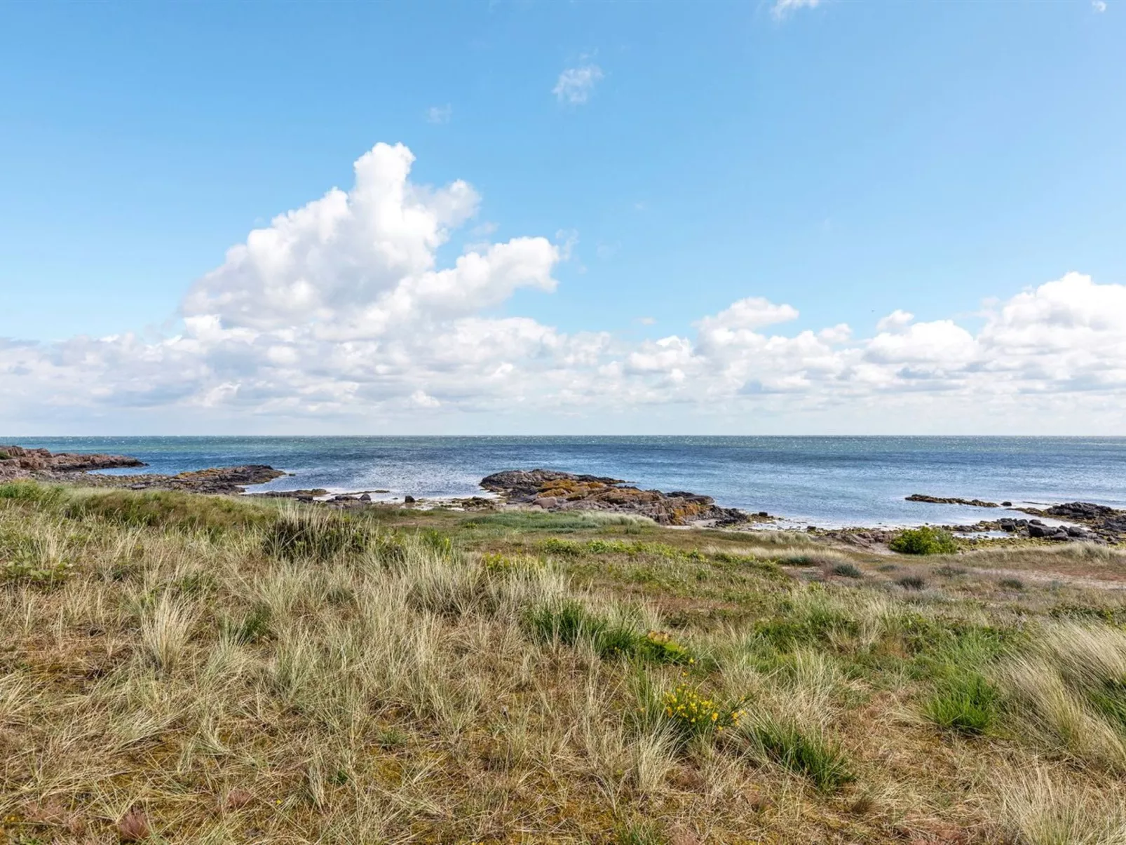 "Alea" - 200m from the sea-Outside