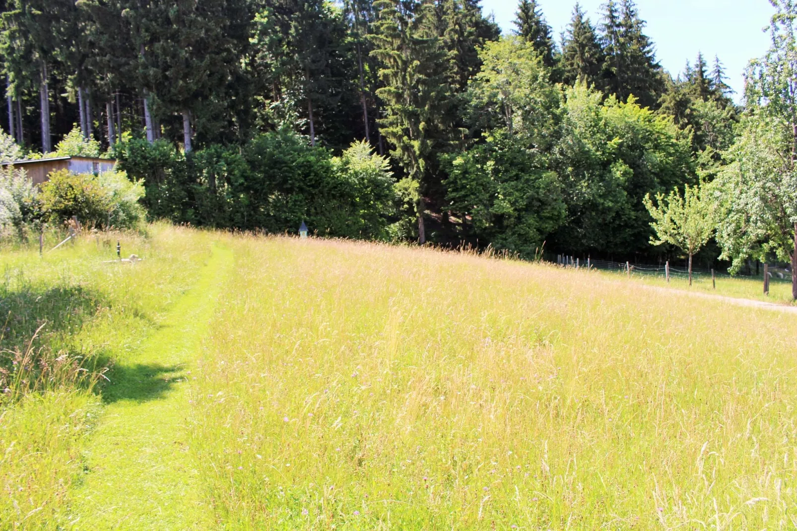 Appartement Claudia-Jardin d'été
