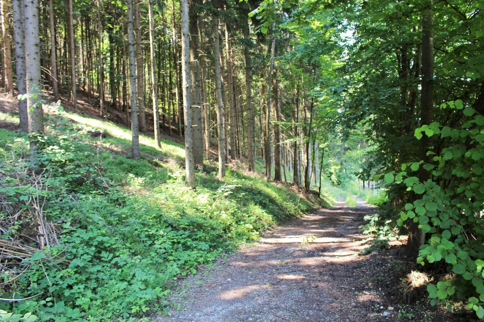 Appartement Claudia-Zones d'été à 1 km