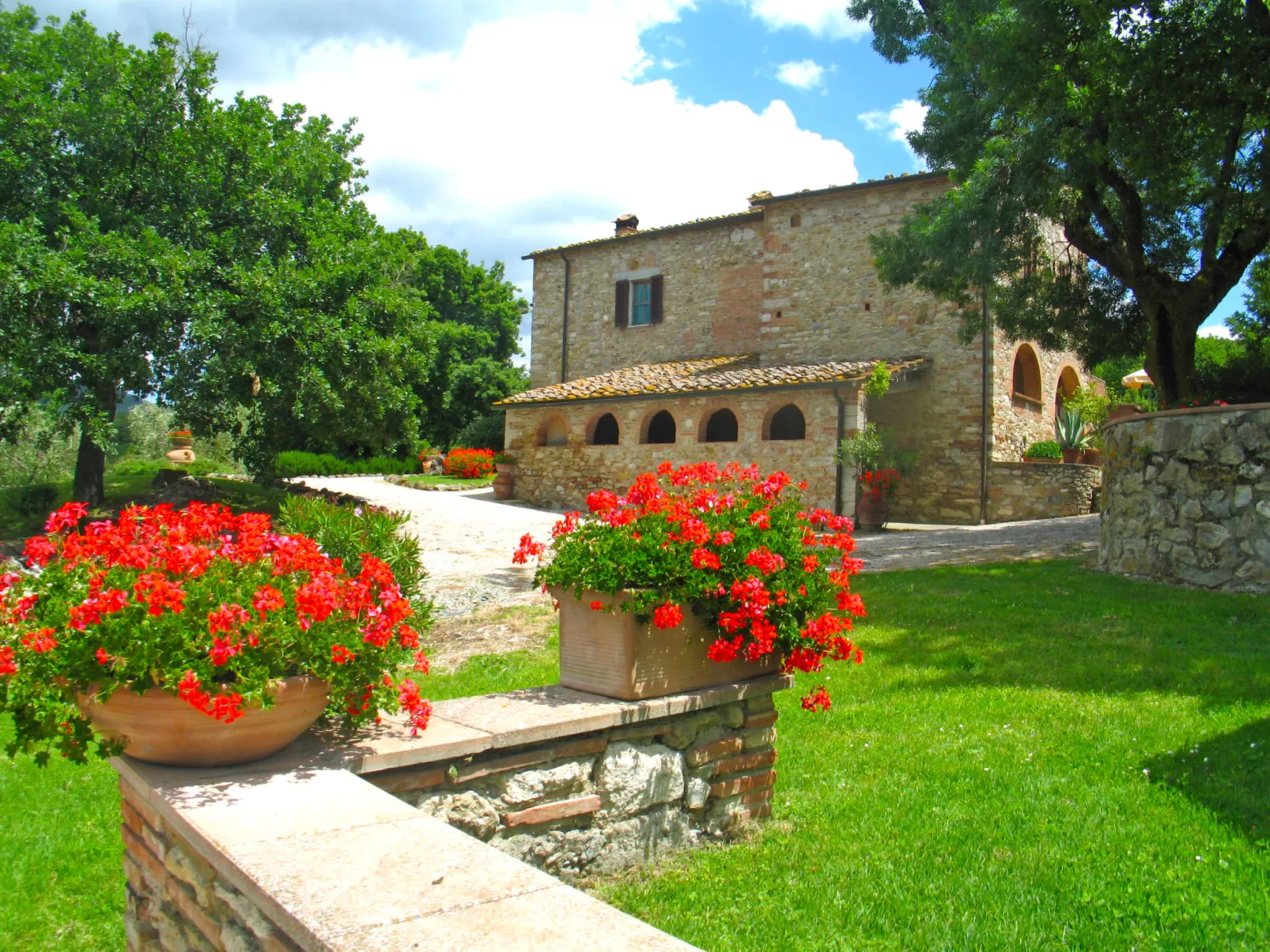 San Lorenzo-Dehors
