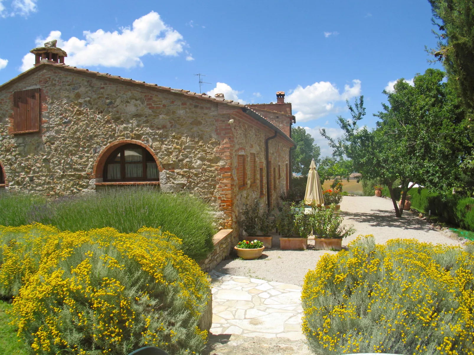 San Lorenzo-Dehors