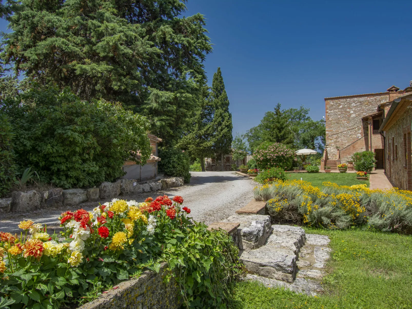 San Lorenzo-Dehors