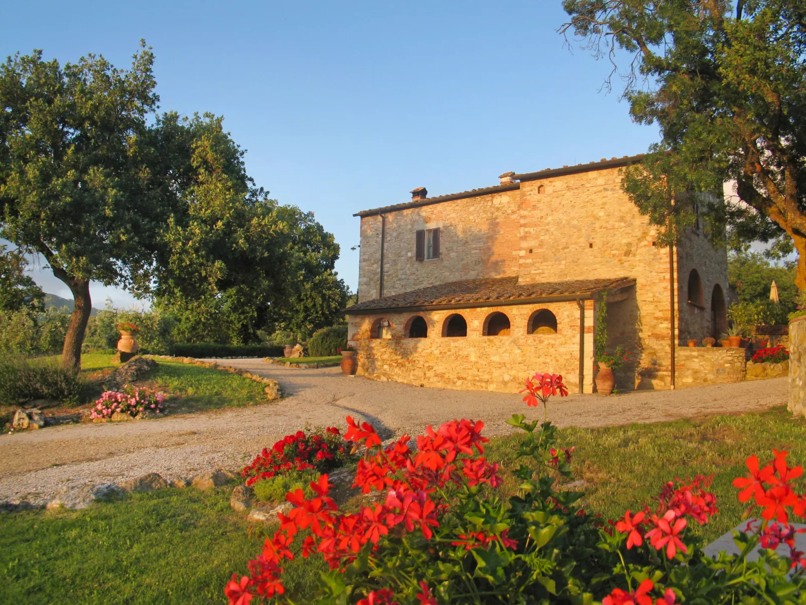San Lorenzo-Dehors
