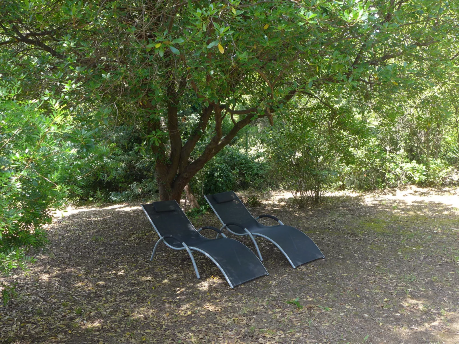 Résidence Le Clos des Lavandes-Dehors