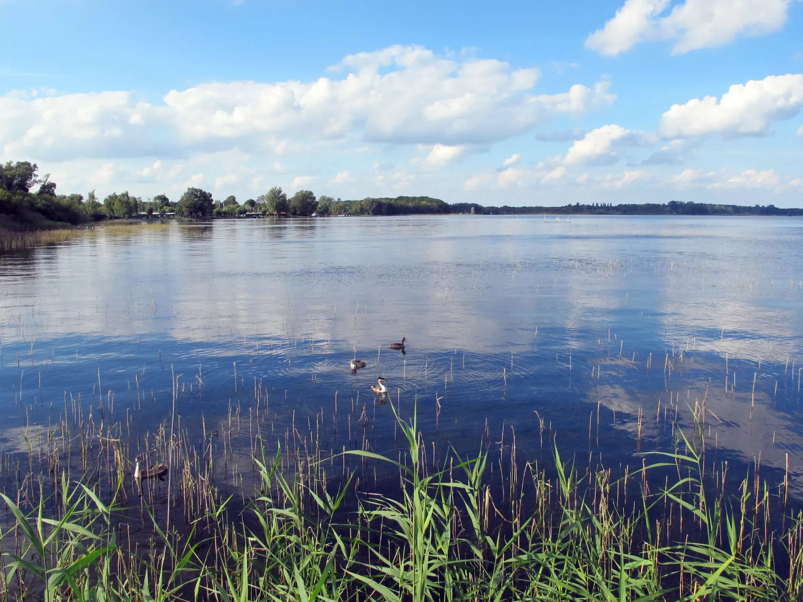 Möwennest-Area