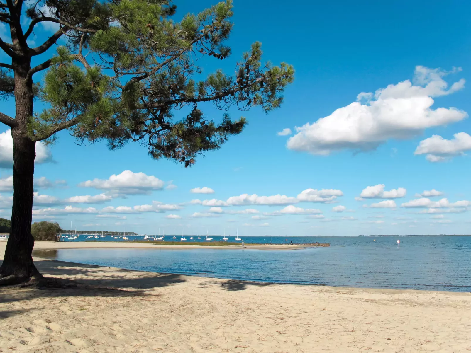 Les Grands Pins-Area