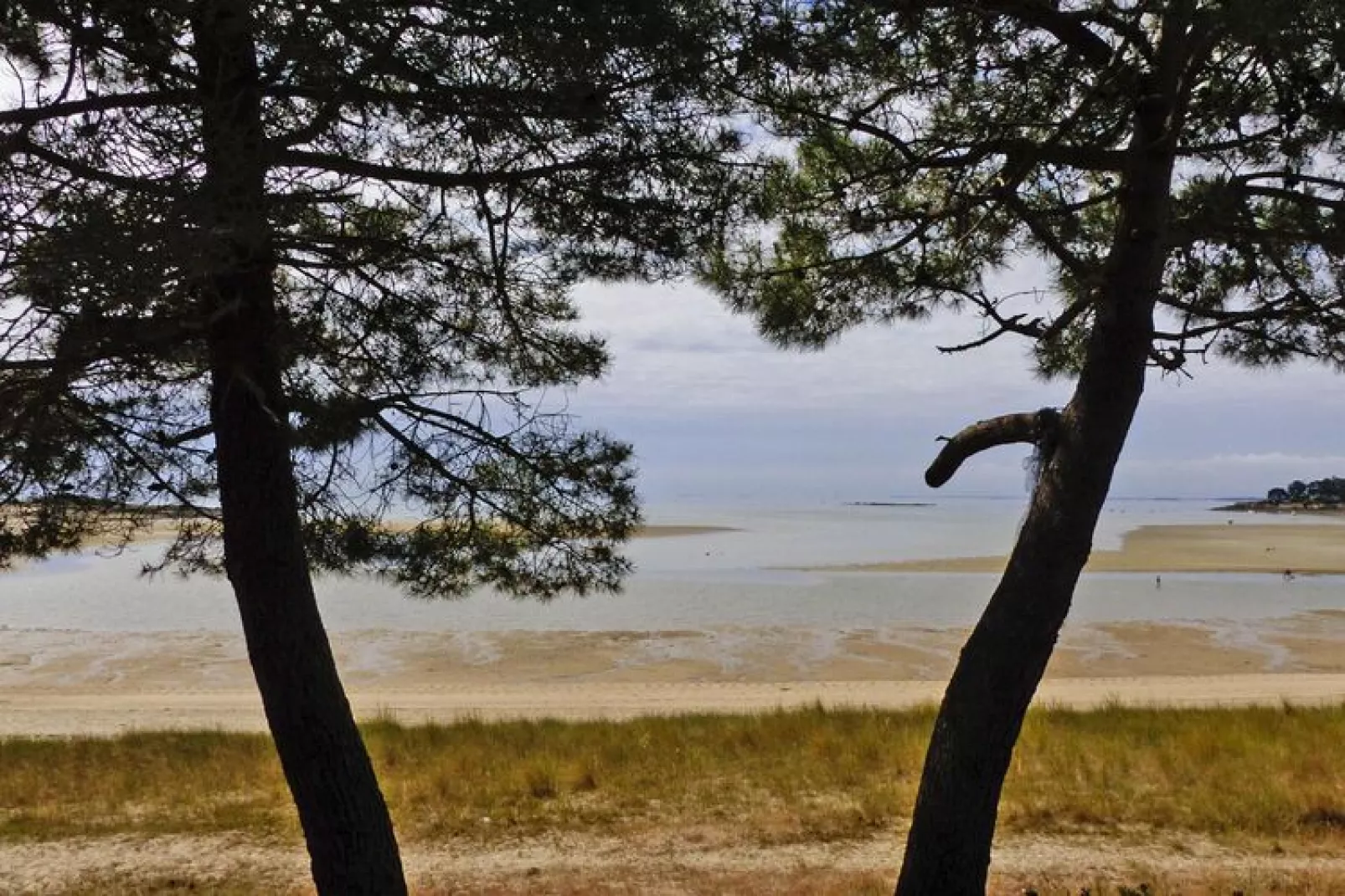 Semi-detached house Carnac-Areas summer 5km