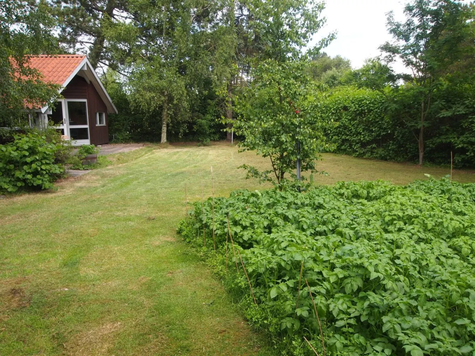 "Kerrin" - 300m from the sea-Outside
