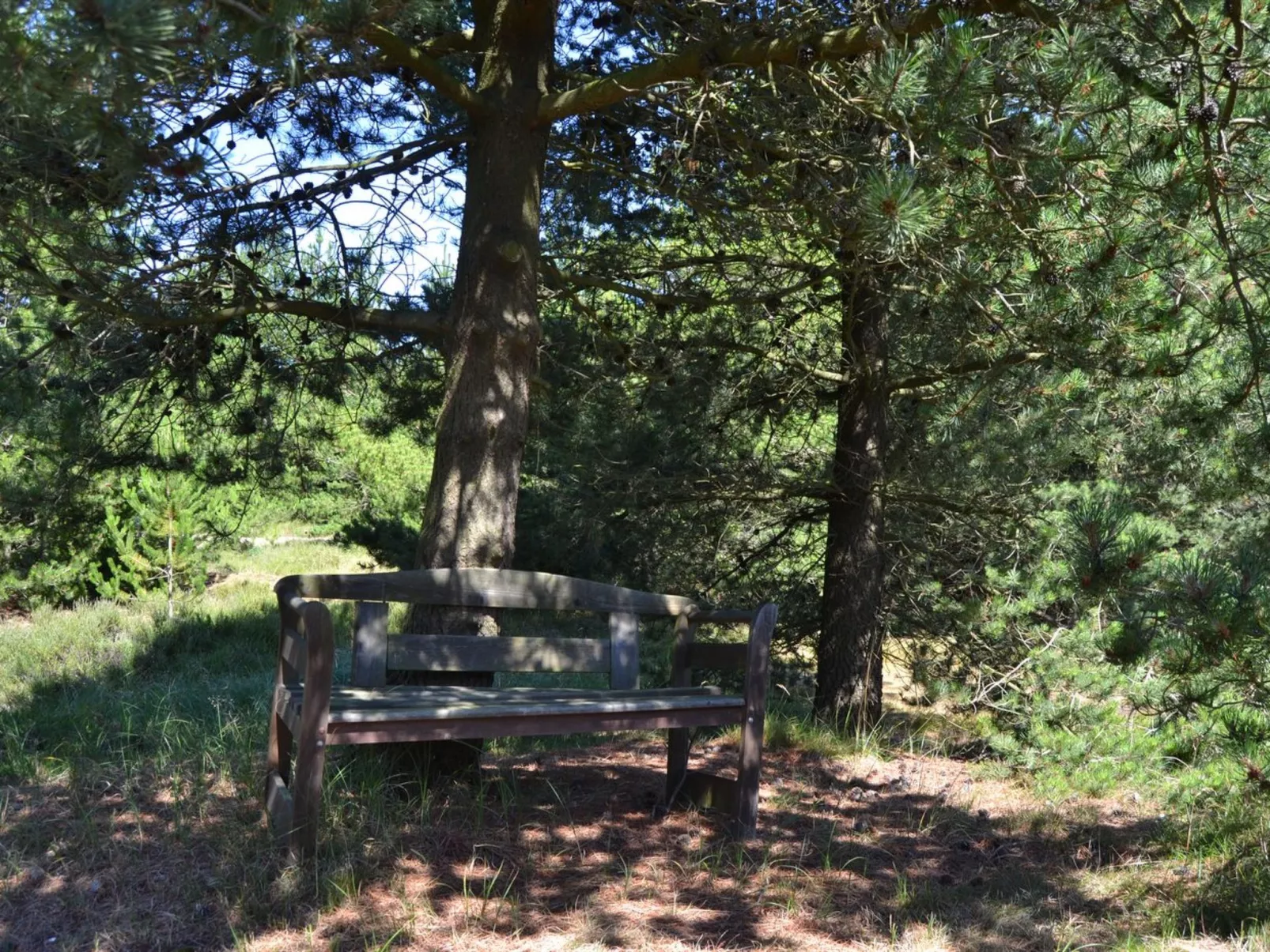 "Tirsa" - 3.9km from the sea-Outside