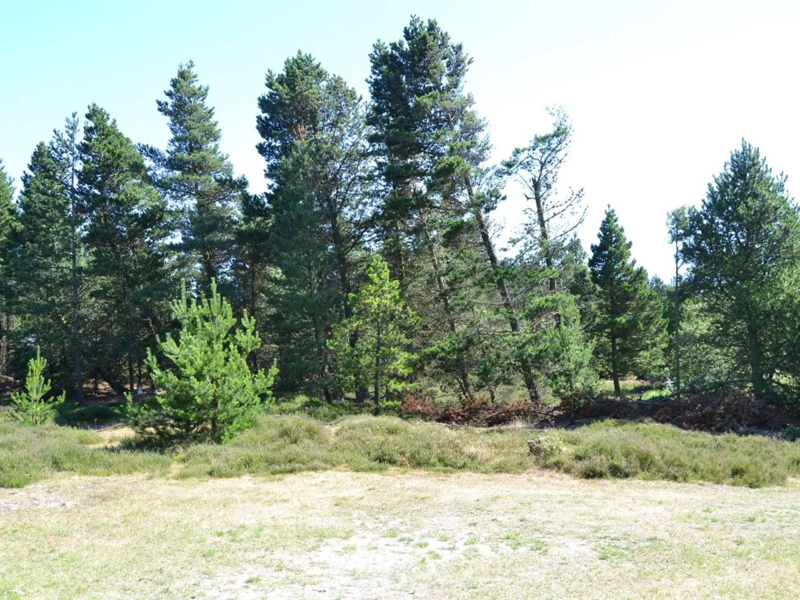 "Tirsa" - 3.9km from the sea-Outside