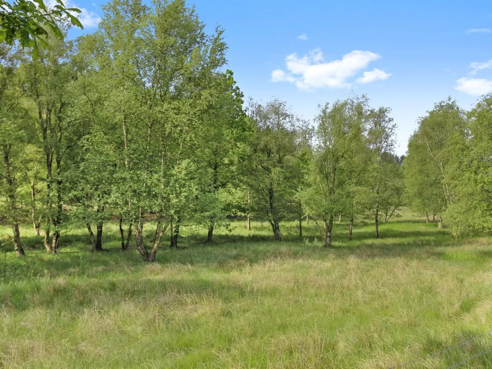 "Terese" - 45km from the sea-Inside