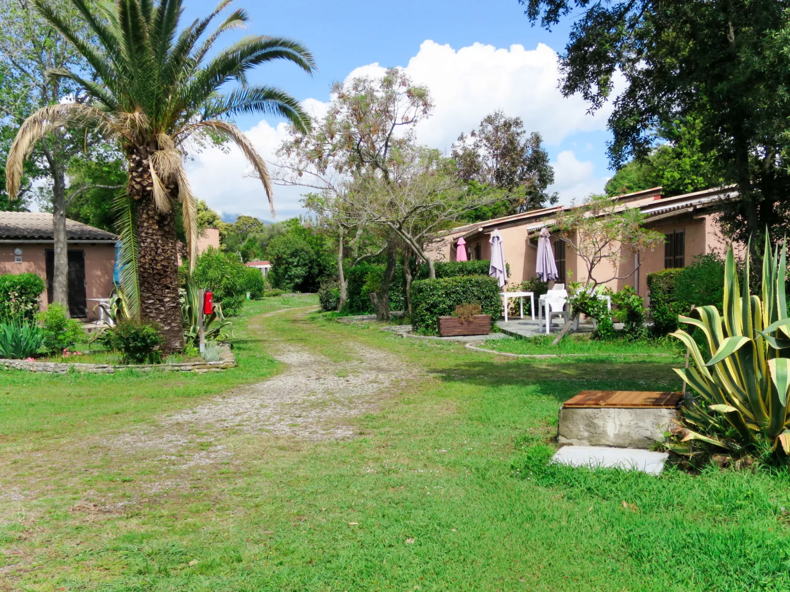 Club-Outside