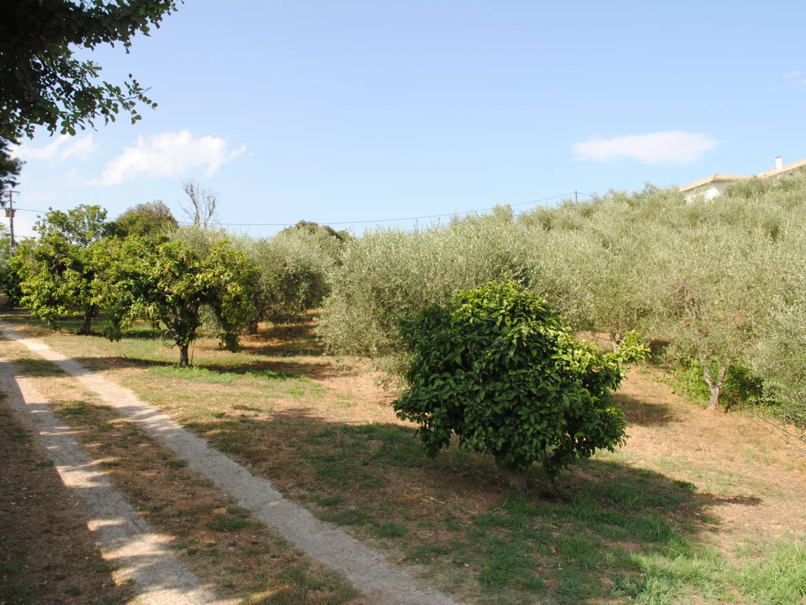 Maison Gerard-Outside