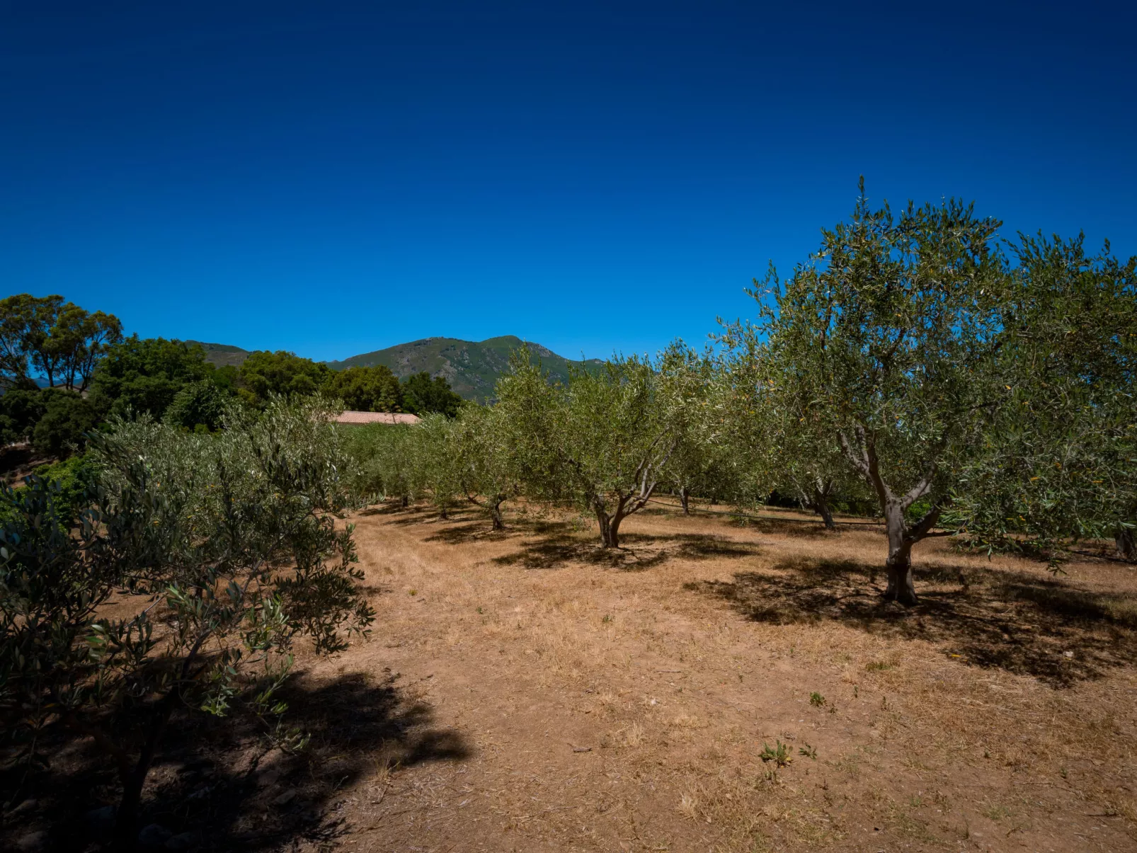 Maison Christian-Outside
