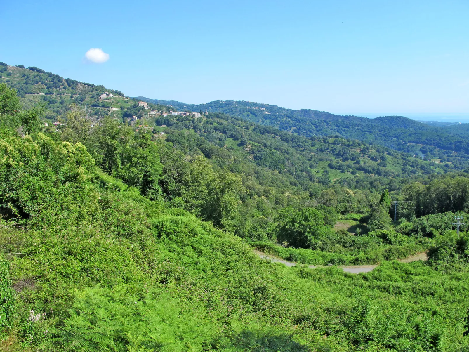 Maison Christian-Area