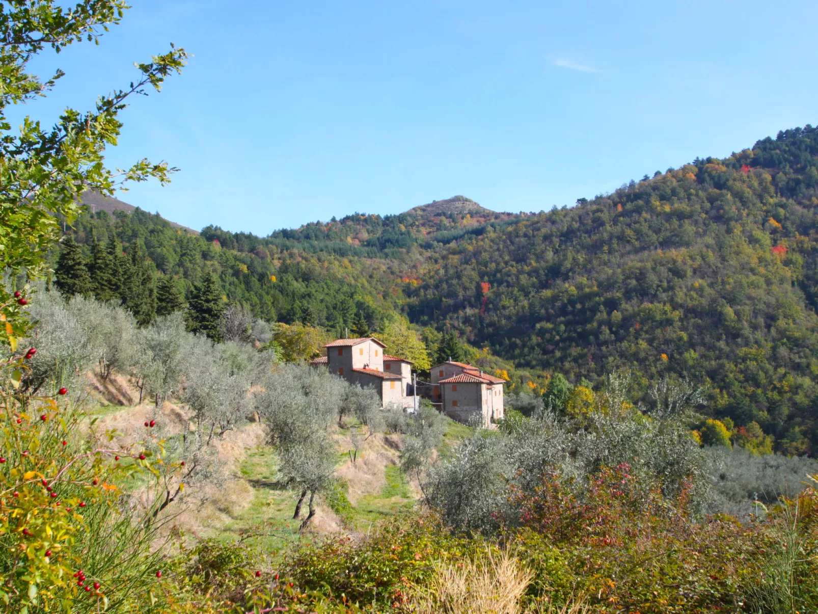 La Torre-Outside