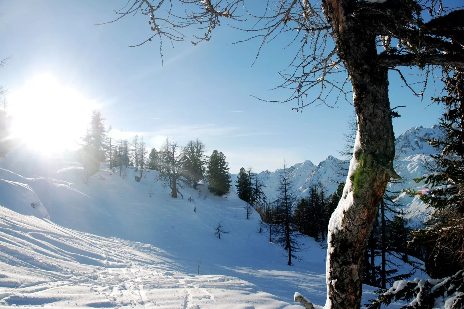 La Ferme les Violets-Area winter 5km