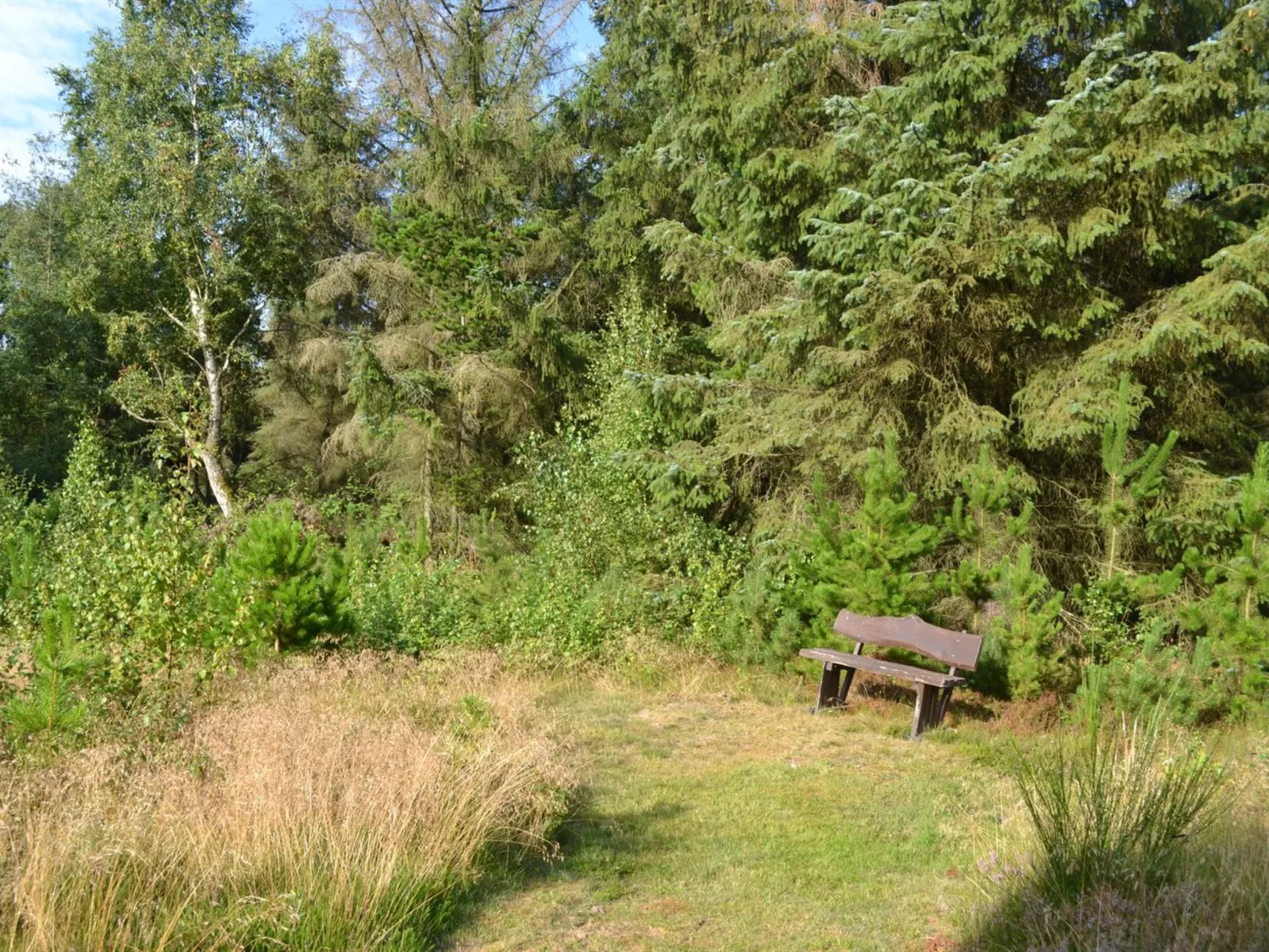 "Eilika" - 3.6km from the sea-Outside
