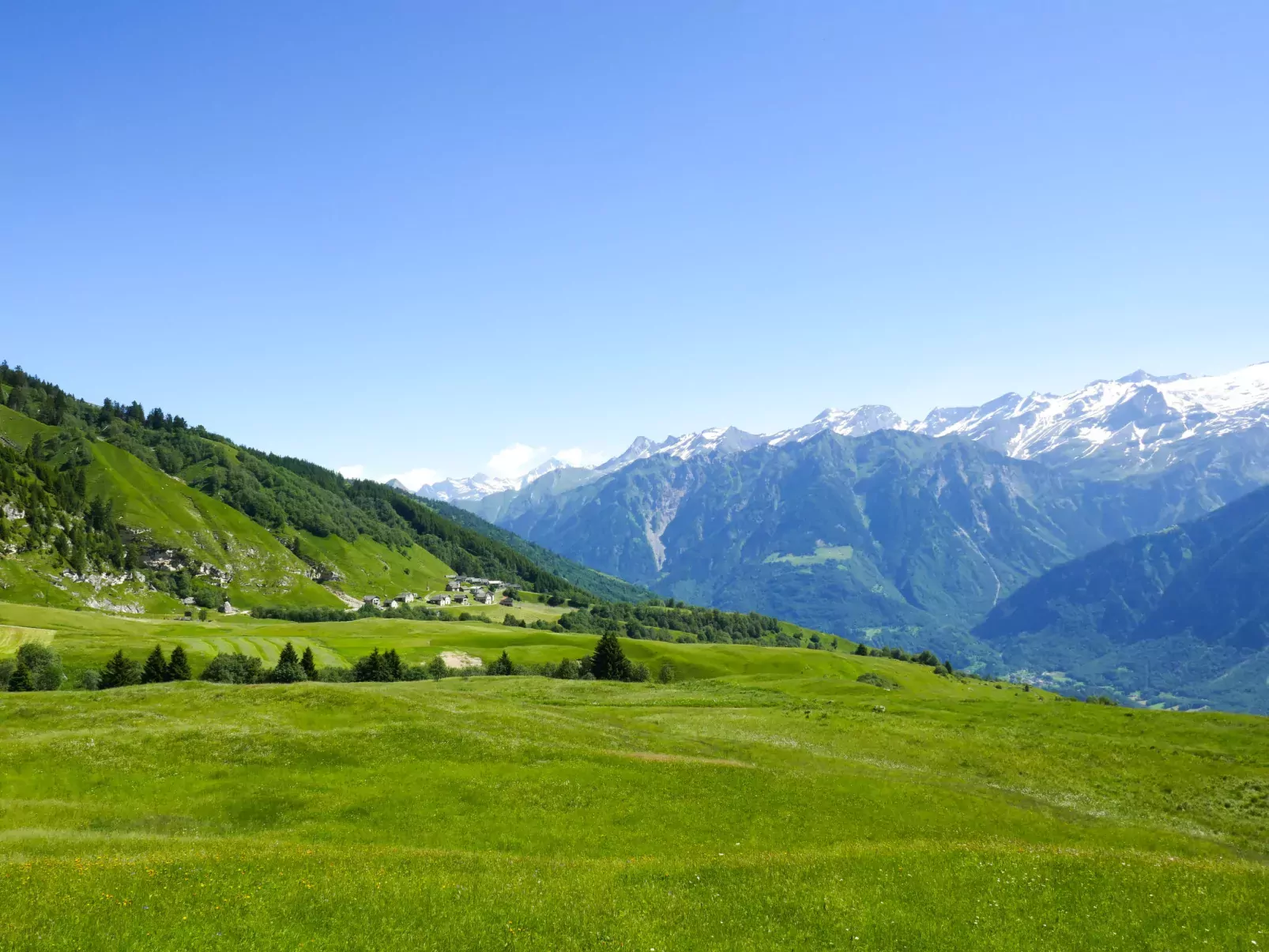 Rustico De Leoni-Area