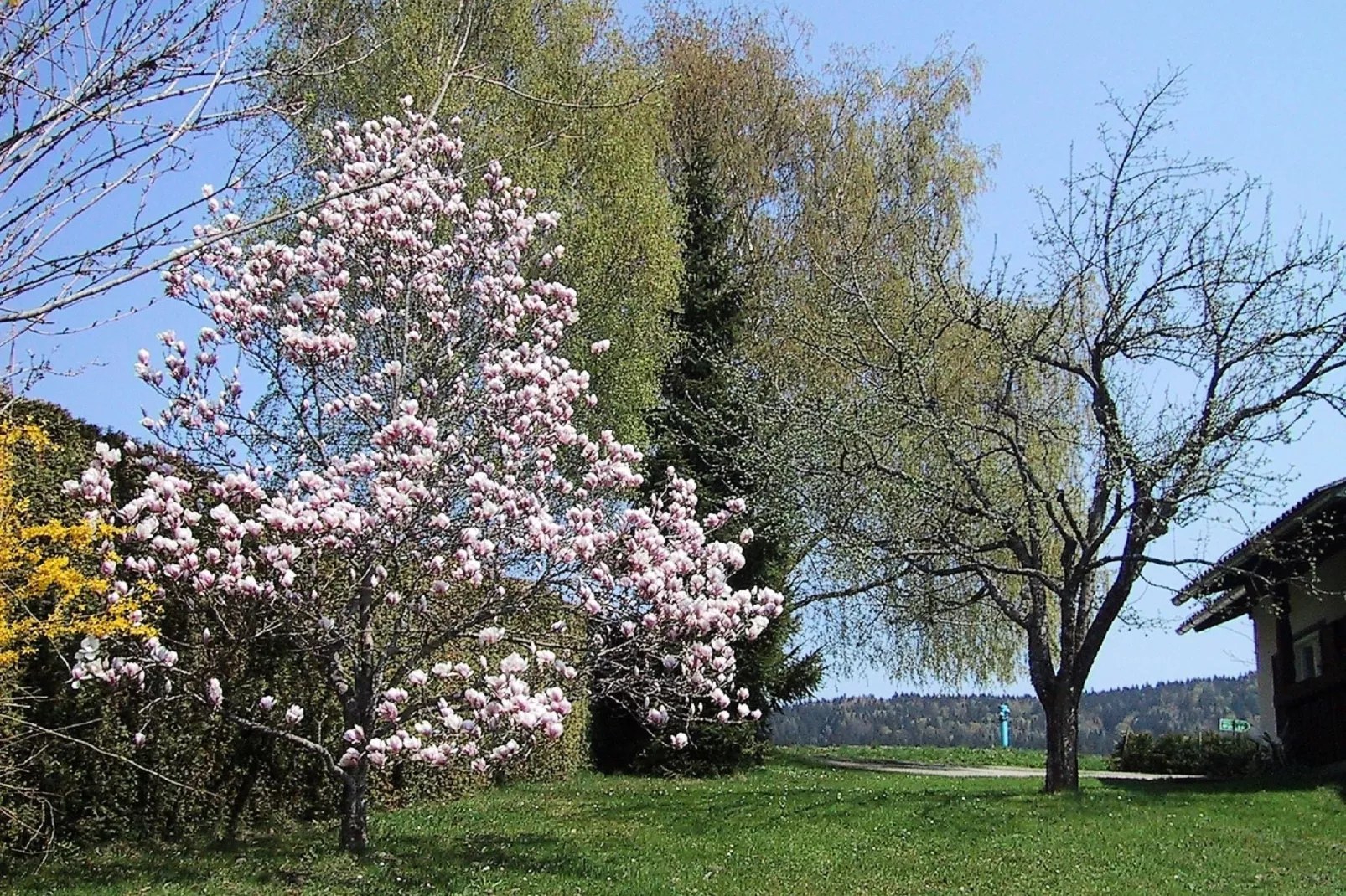 Haus Karawankenblick-Gardens summer