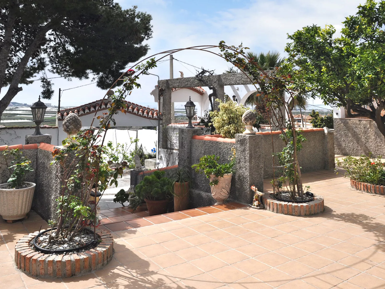 El Pino-Outside