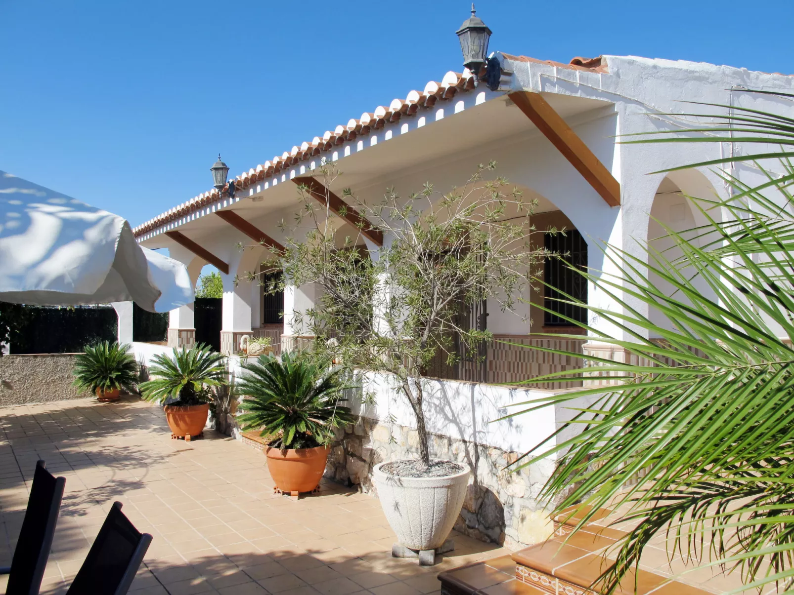 El Pino-Outside