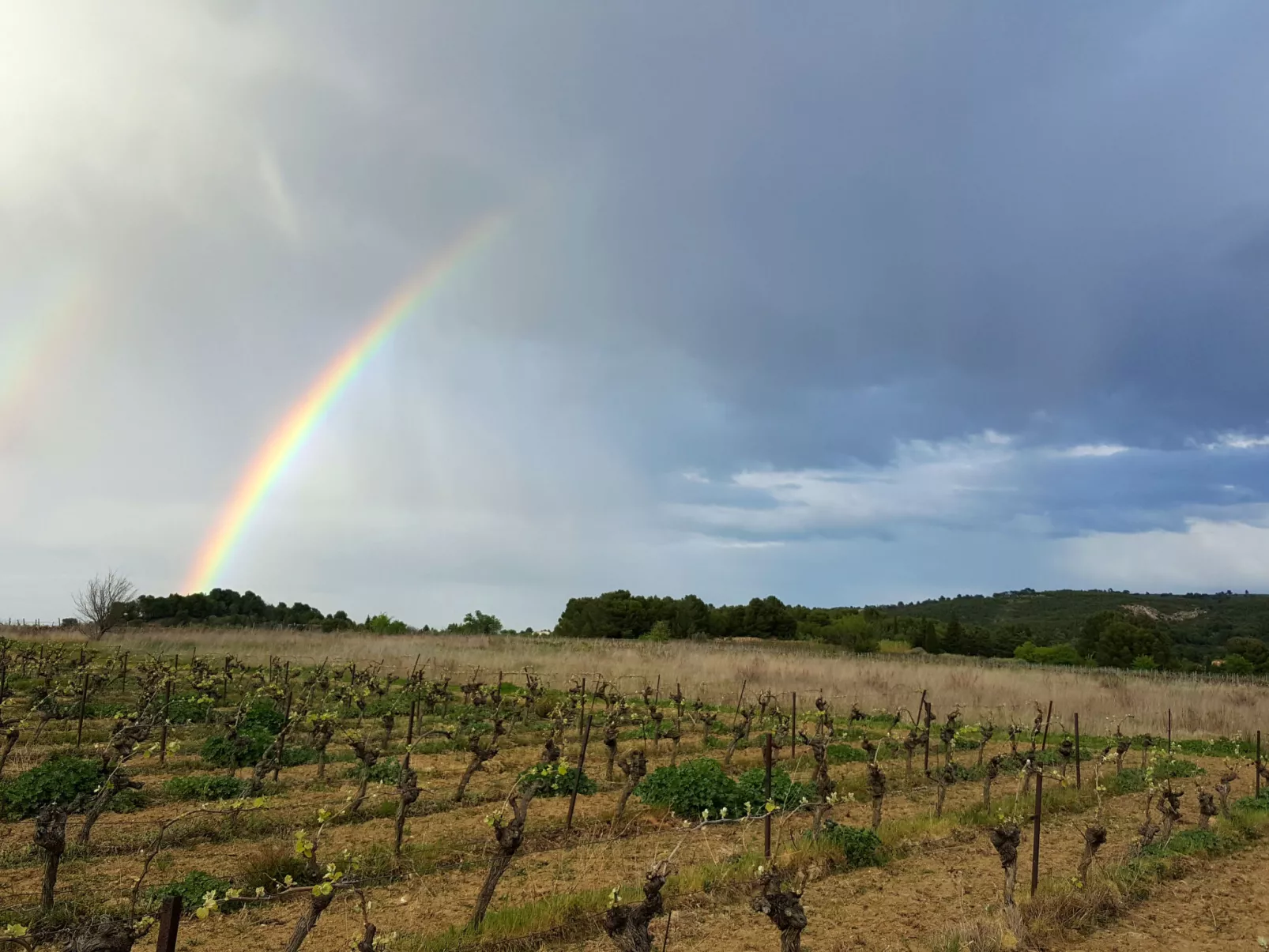 Les Hauts de St Pierre-Area