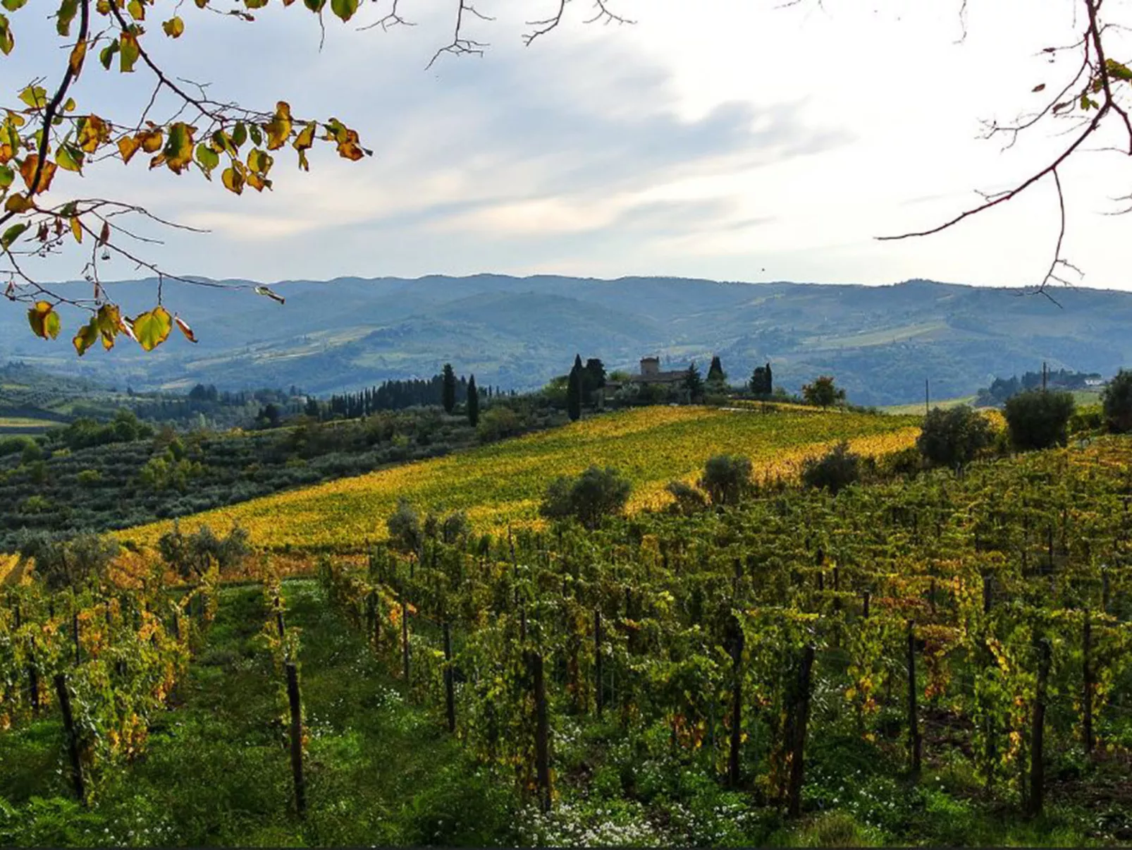 Lucolena-Area