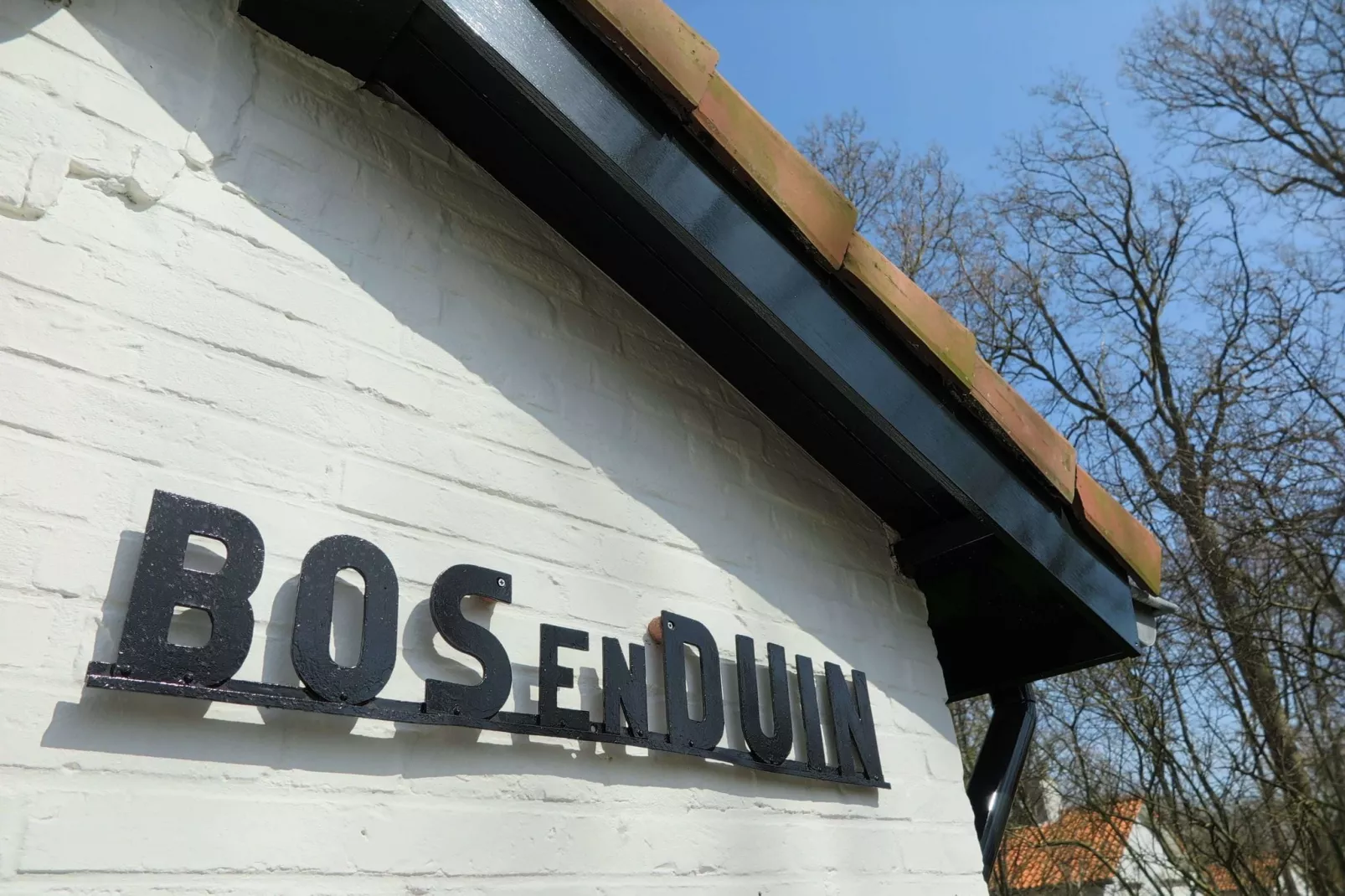 Vebenabos 14-Bos en Duin-Ambiente