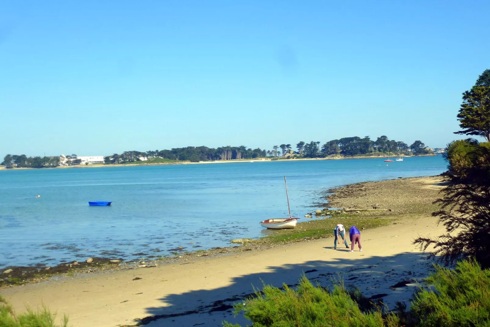 In direkter Meerlage Ebenerdige Ferienwohnung Roscoff-Areas summer 1km