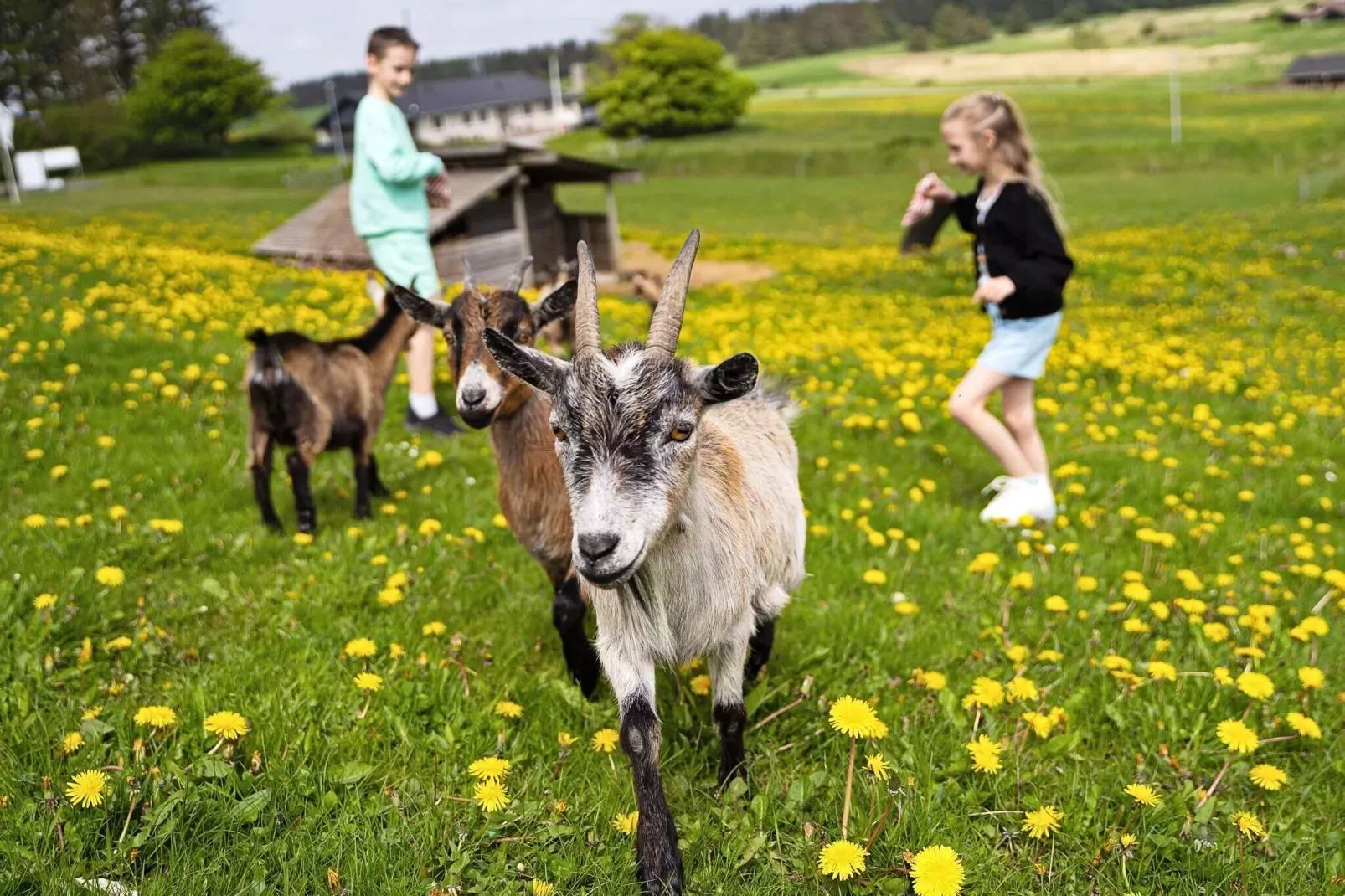 Maison de vacances pour 6 dans un parc de vacances a Hanstholm-Non étiqueté