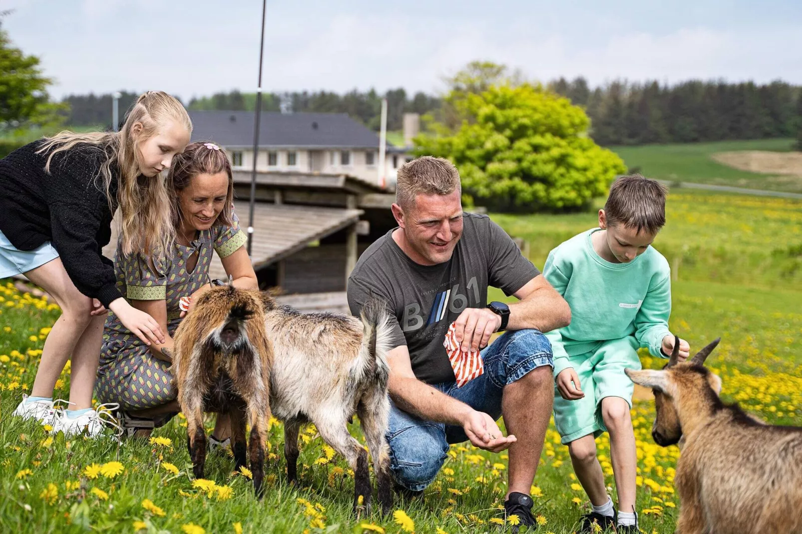 Maison de vacances pour 6 dans un parc de vacances a Hanstholm-Non étiqueté