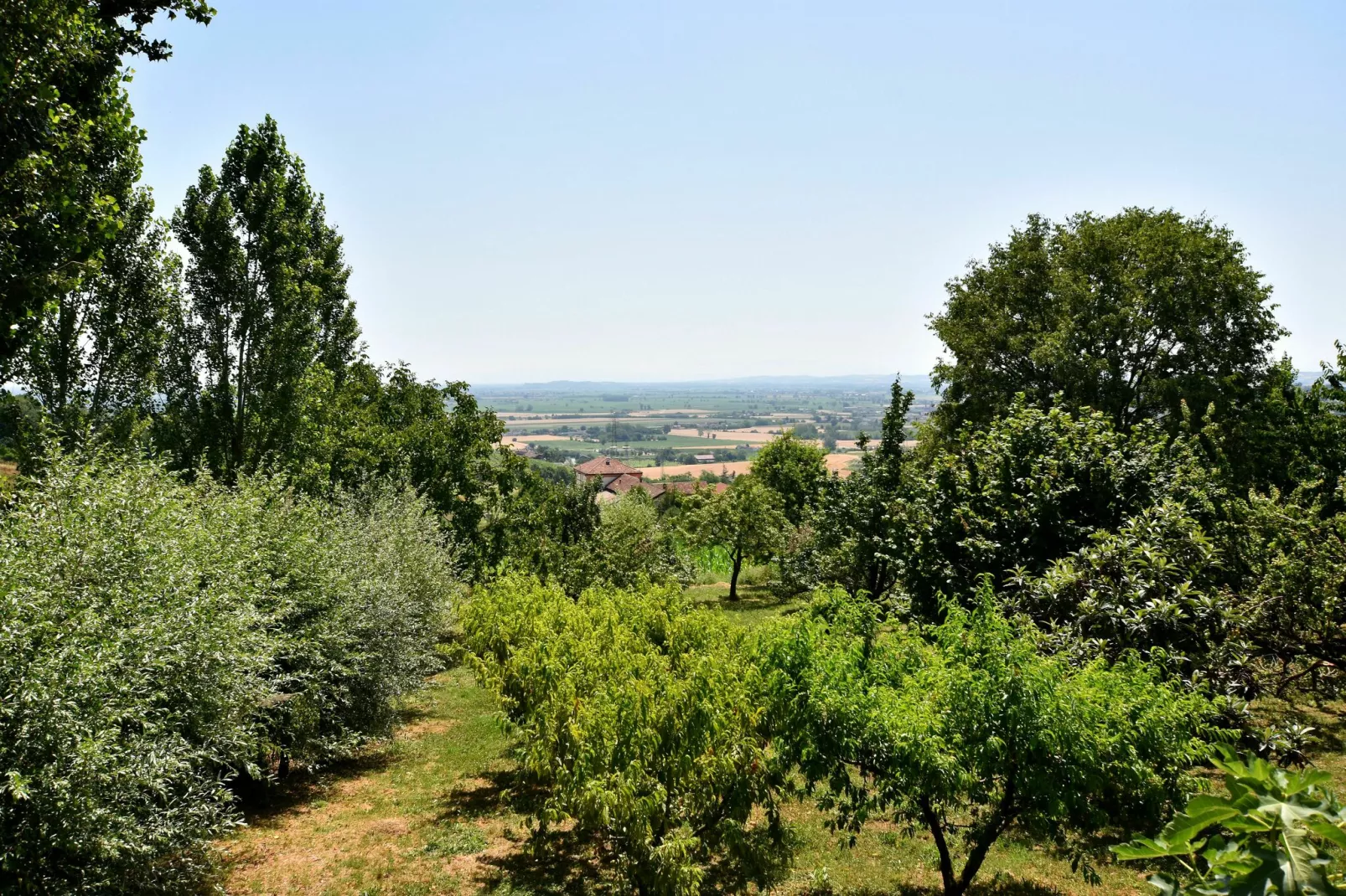 Antica Residenza-View summer