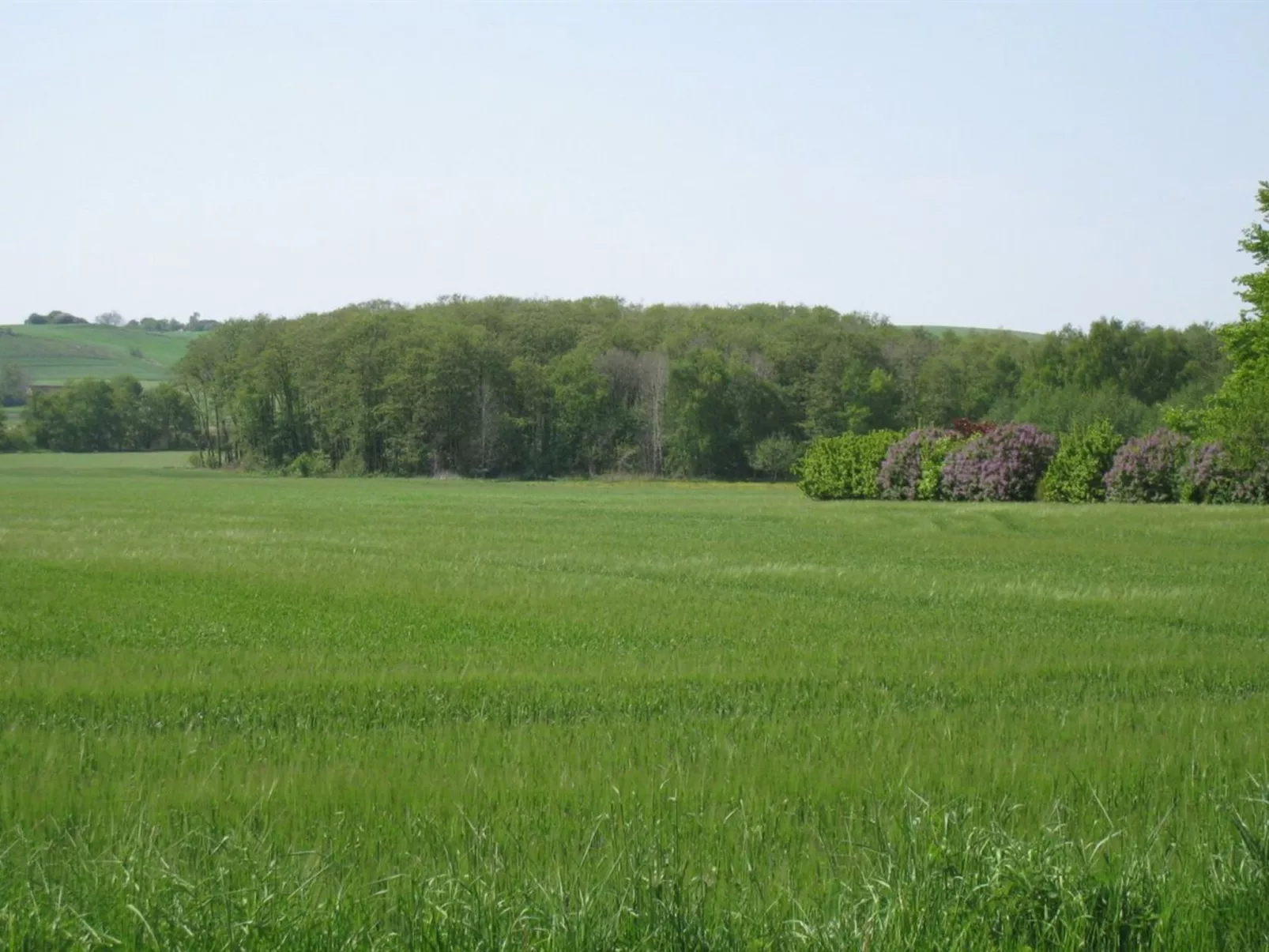 "Eva" - 1.5km to the inlet-Outside