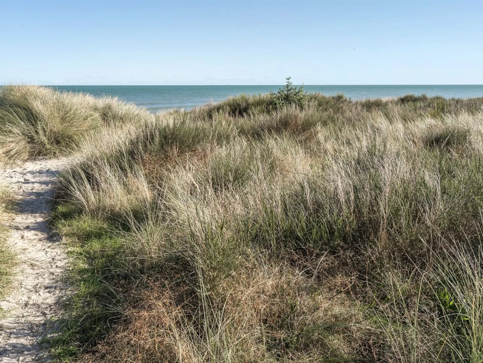 "Jeldrik" - 100m from the sea-Outside