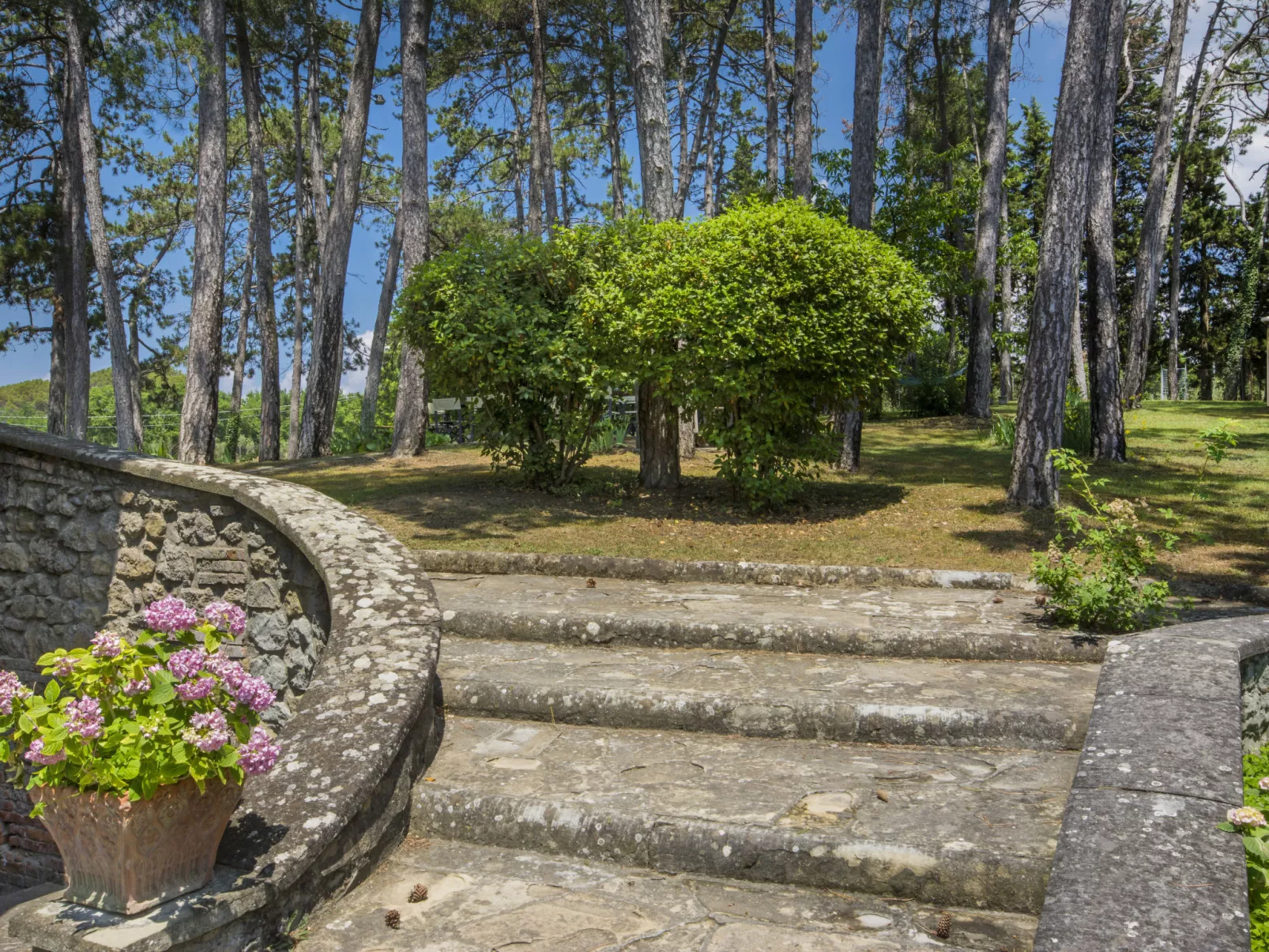 Poggio Patrignone-Inside