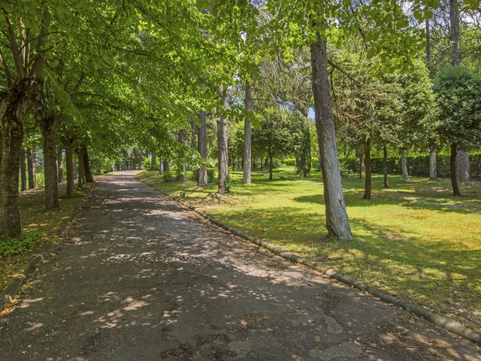 Poggio Patrignone-Outside