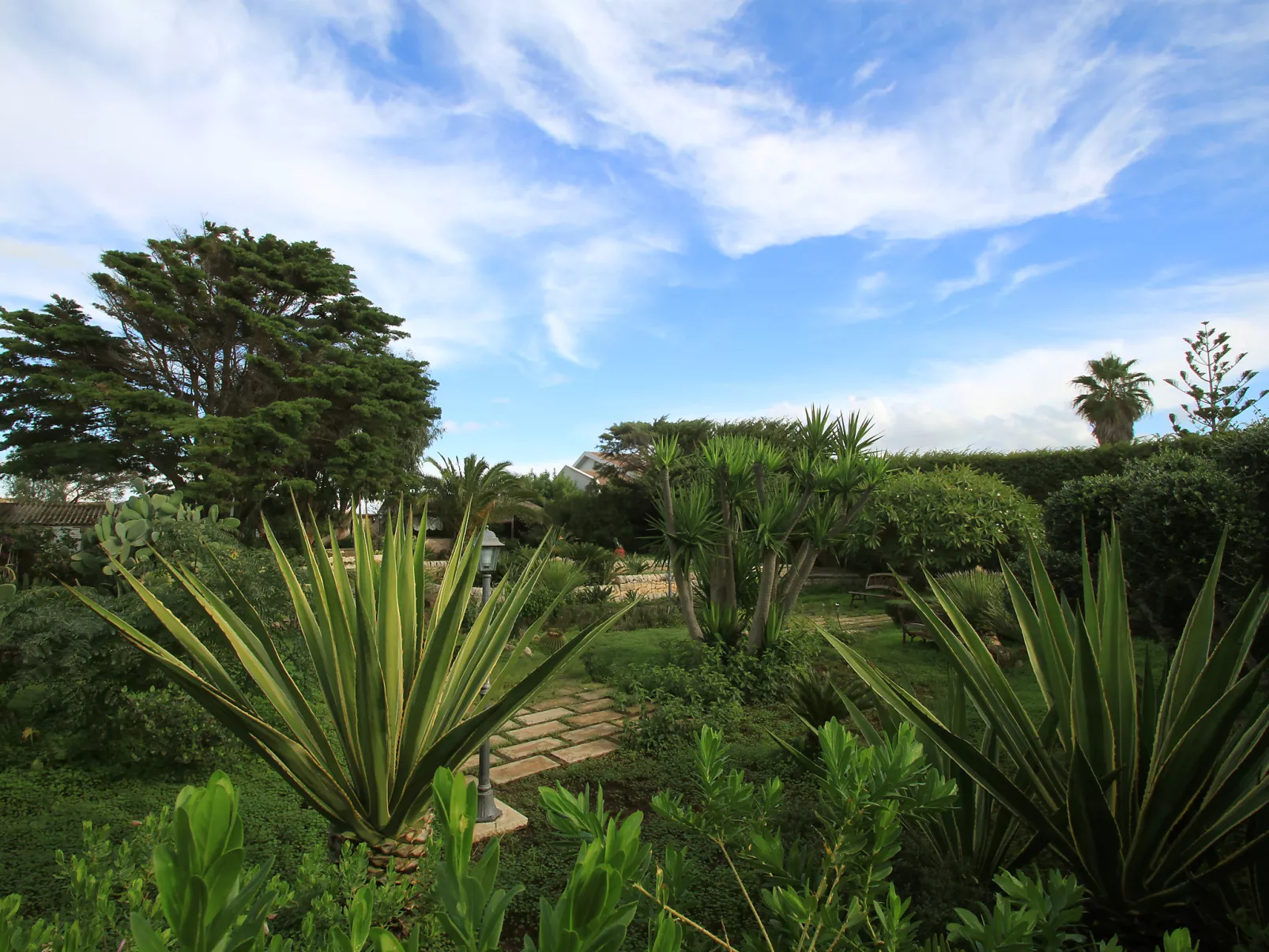 La Punta-Dehors