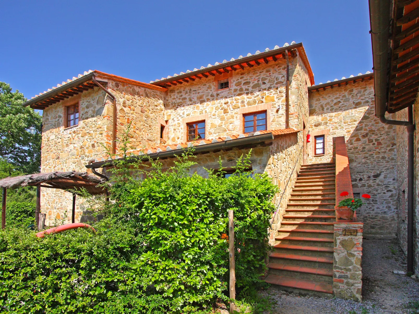 Il Pettirosso n°7-Outside