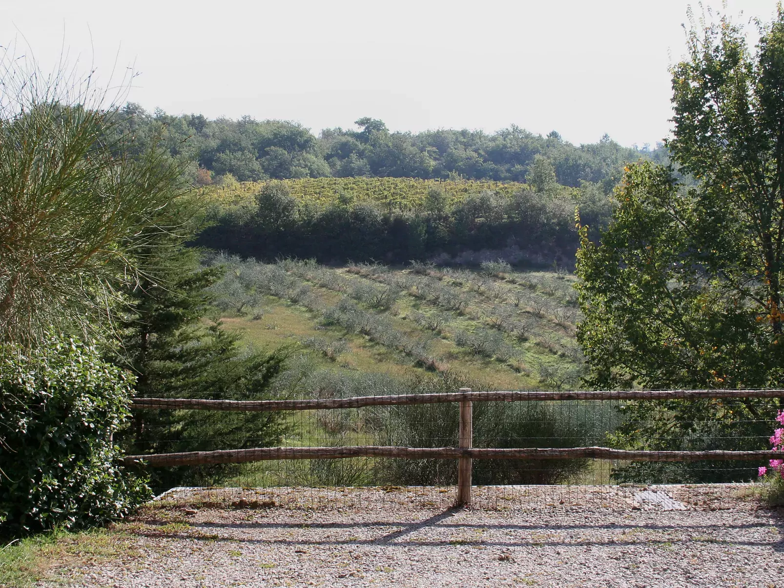 Coccinella n°6-Outside