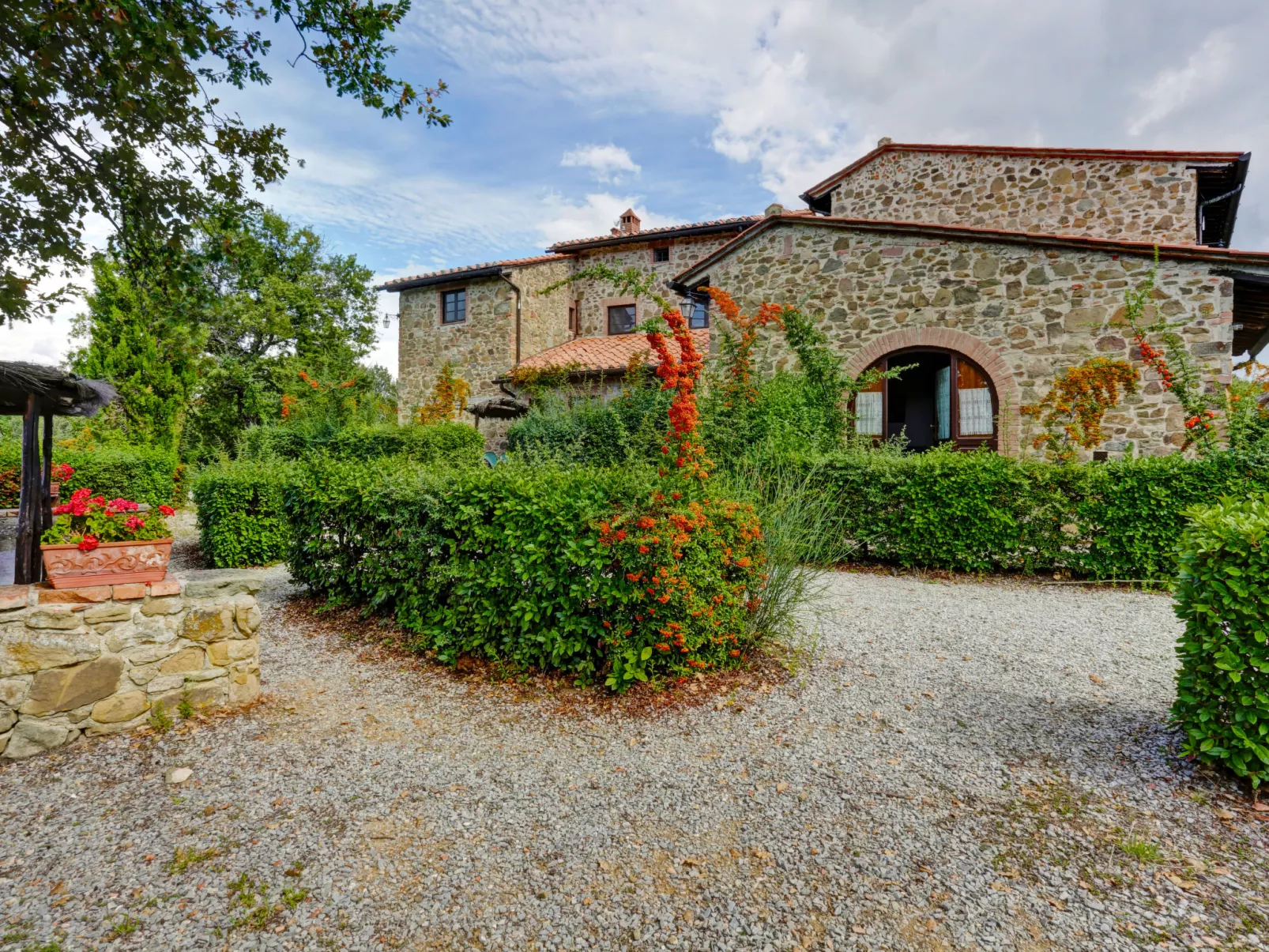 Coccinella n°6-Outside