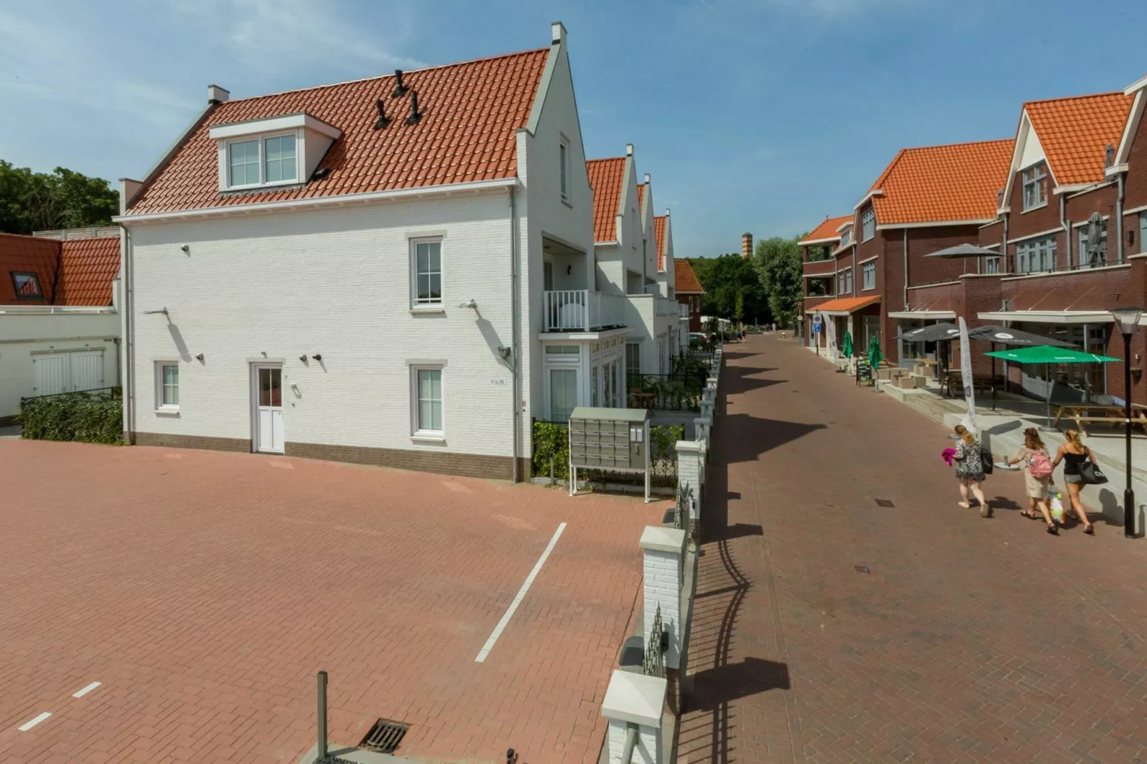 	Appartement Duinhof Dishoek - 6 pers de luxe-Vue d'été