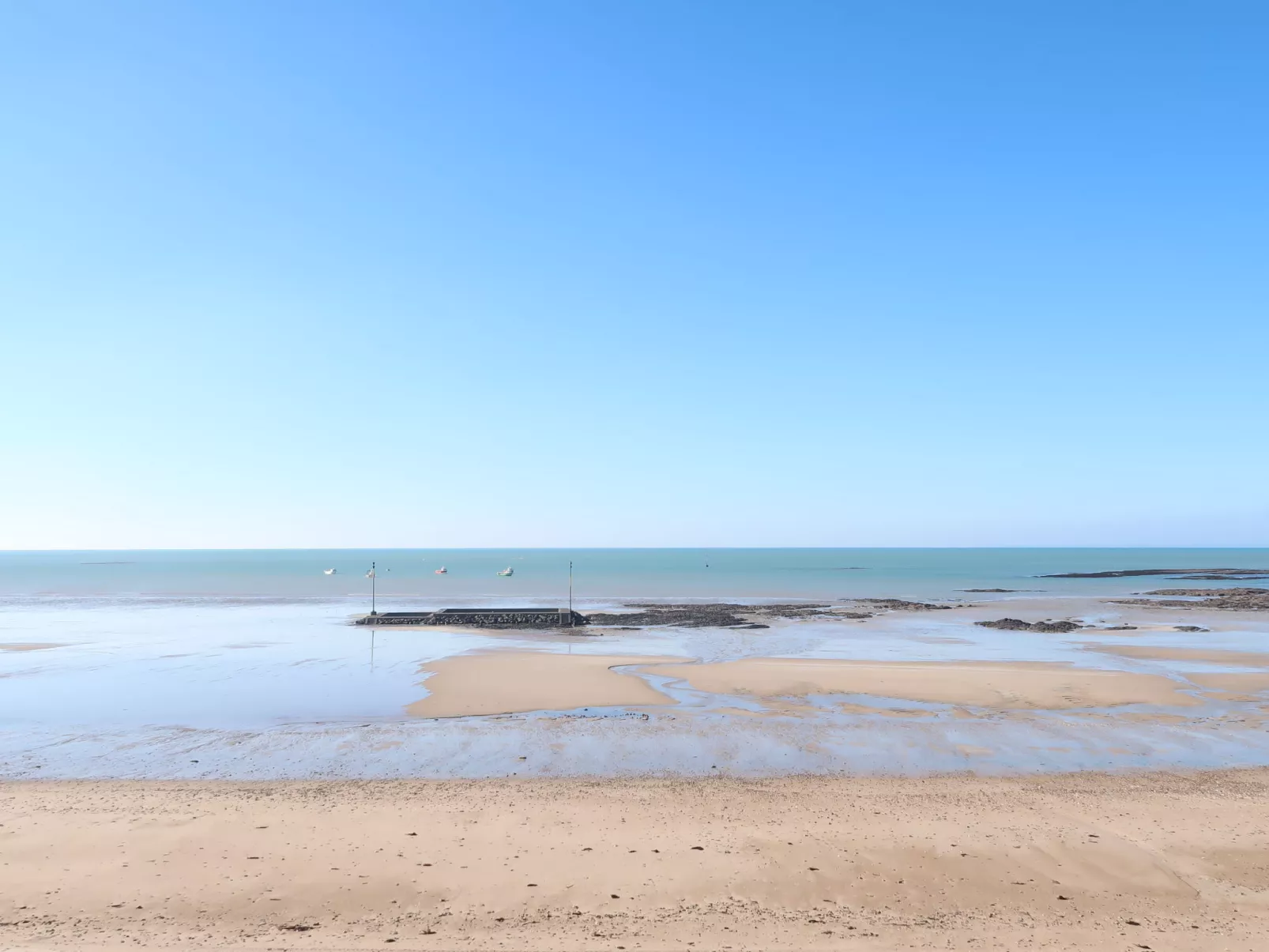 La salicorne-Environnement