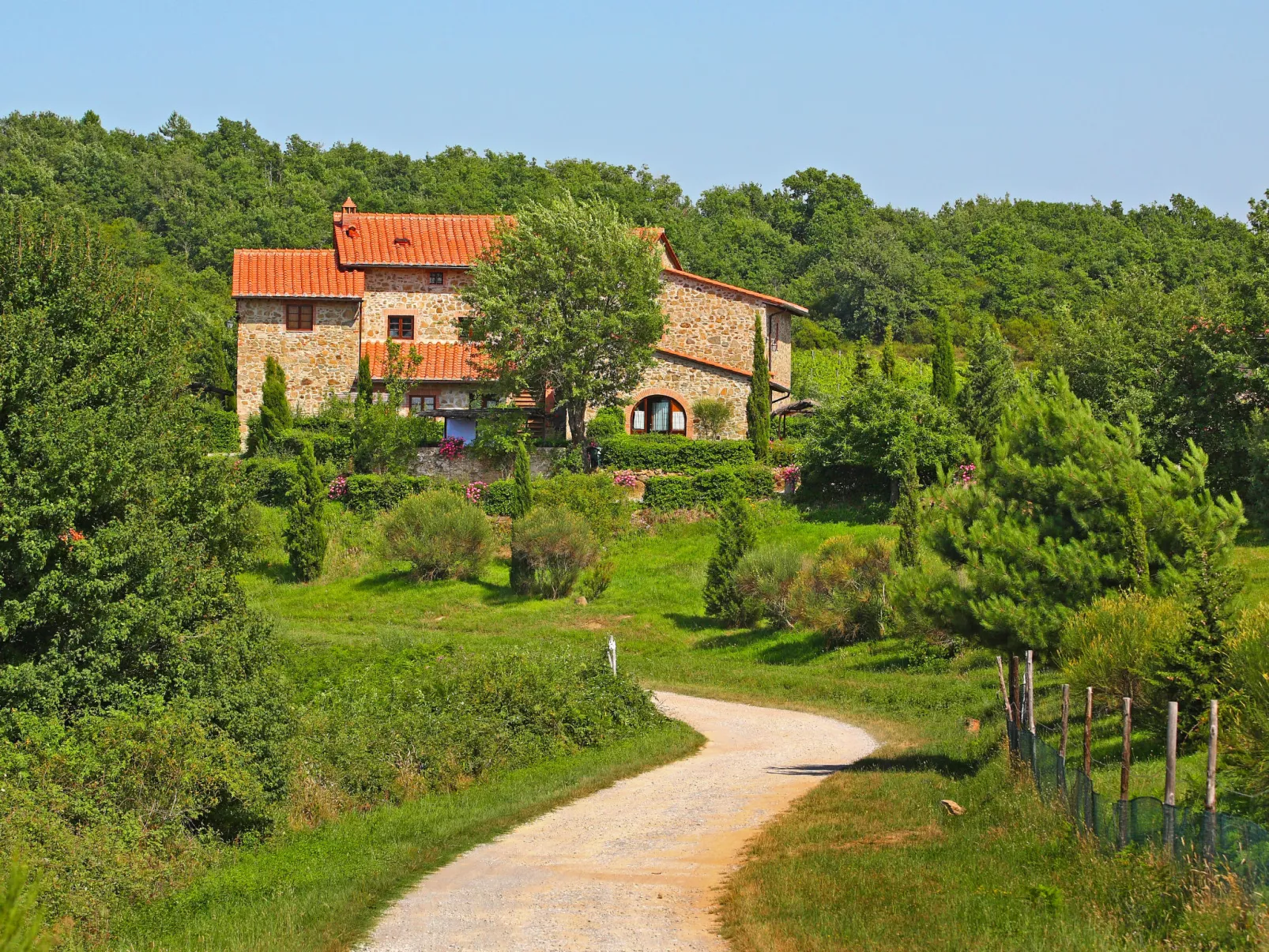 Il Gufo n°1-Outside