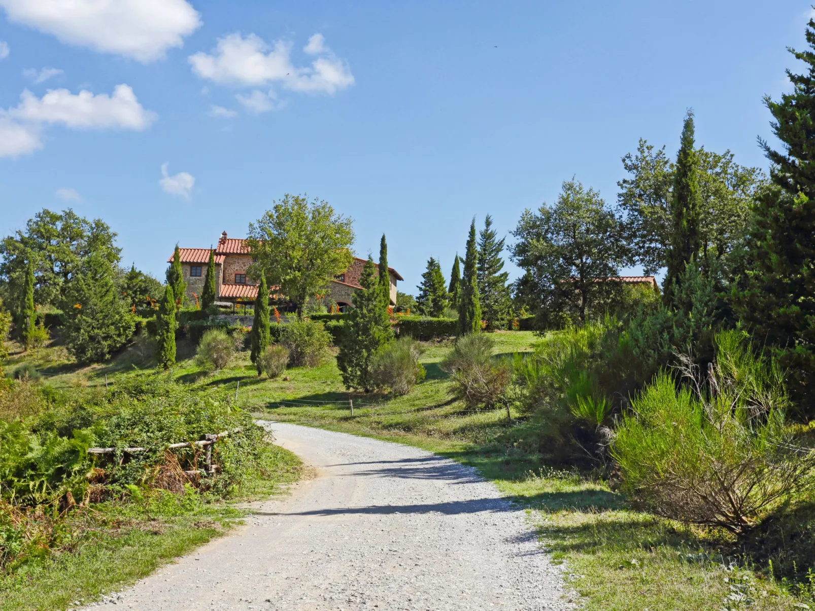 Il Gufo n°1-Outside