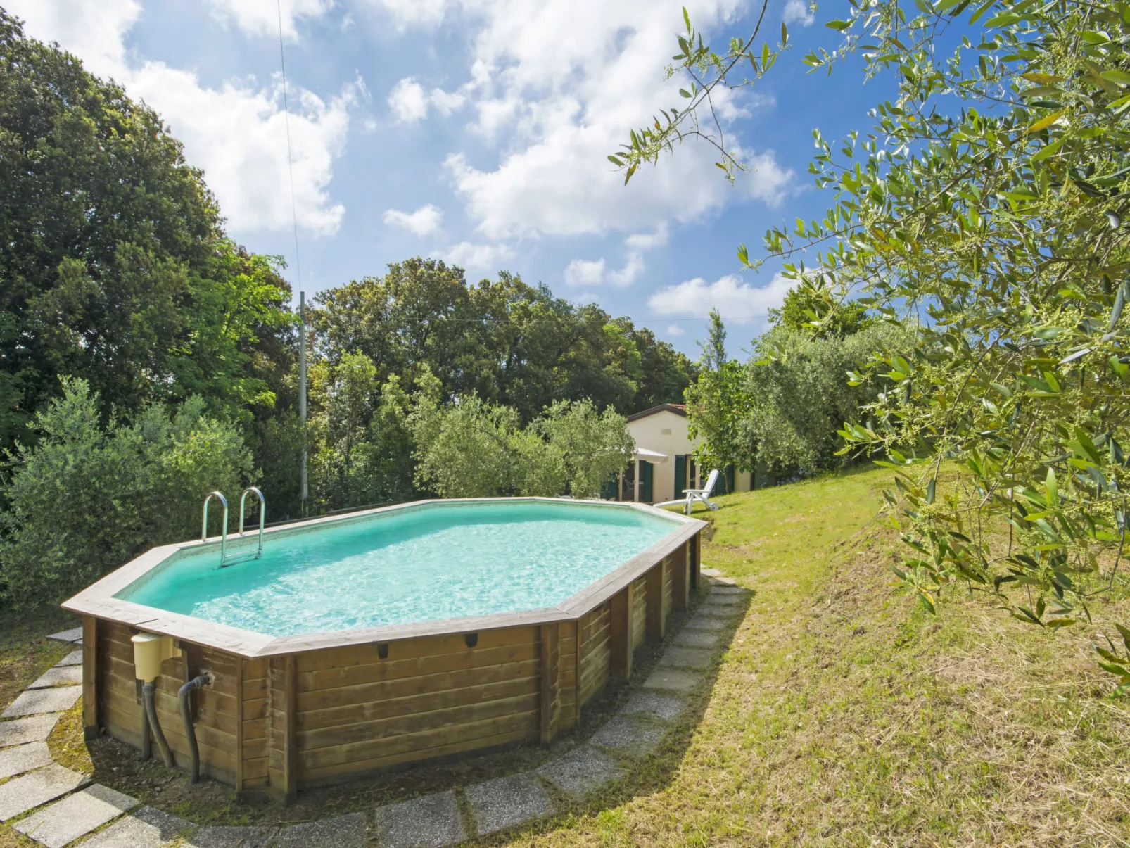 Podere gli Olivi-Outside