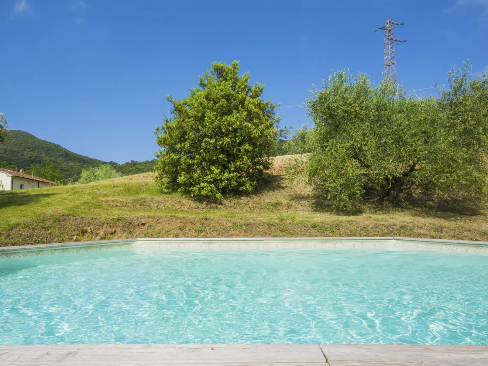 Podere gli Olivi-Outside